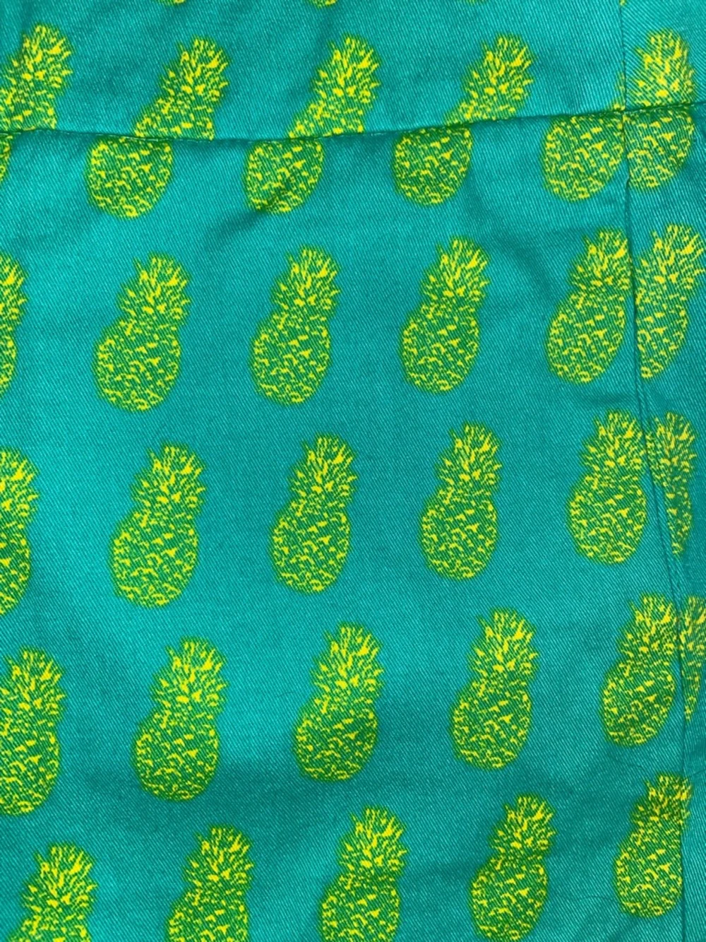 J. Crew 3” Printed Shorts Green Pineapple Print Women Shorts